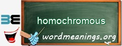 WordMeaning blackboard for homochromous